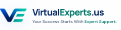 Virtual Experts logo
