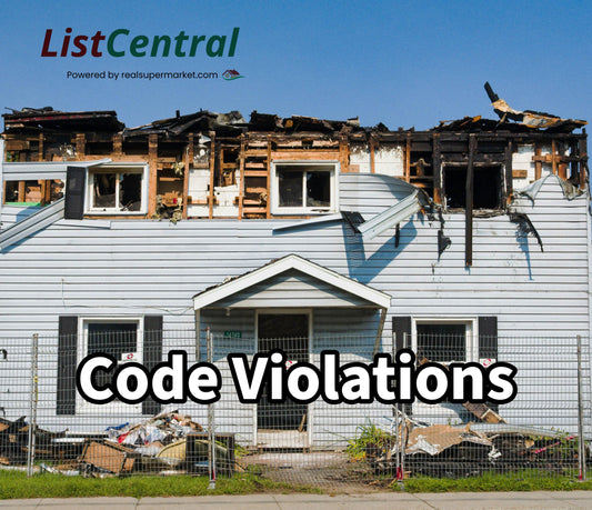 Sample data format - Code Violations